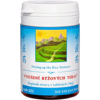 Produktbild von TCM Herbs XIE XIN JIAN WAN Kräuter-Komplex Tabletten 100 Stück