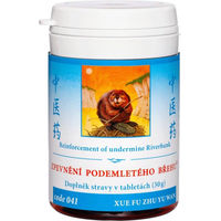 Produktbild von TCM Herbs XUE FU ZHU YU WAN Kräuter-Komplex Tabletten 100 Stück