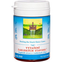 Produktbild von TCM Herbs Yu Xue Wan Kräuter-Komplex Tabletten 100 Stück