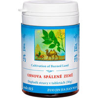 Produktbild von TCM Herbs ZUO JIN WAN Erneuerung der verbrannten Erde Kräuter-Komplex Tabletten 100 Stück