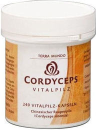 Terra Mundo Cordyceps Vitalpilz Kapseln Bio vegan glutenfrei laktosefrei 240 Stück – Bild 1 von 1