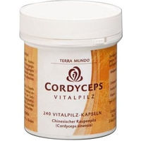 Produktbild von Terra Mundo Cordyceps Vitalpilz Kapseln Bio vegan glutenfrei laktosefrei 240 Stück