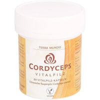 Produktbild von Terra Mundo Cordyceps Vitalpilz Kapseln Bio vegan glutenfrei laktosefrei 60 Stück