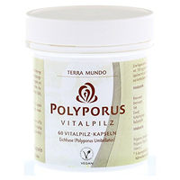 Produktbild von Terra Mundo Polyporus Vitalpilz Kapseln Bio vegan glutenfrei laktosefrei