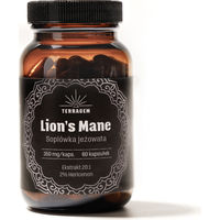 Produktbild von Terragem Lion's Mane Kapseln mit 350 mg Löwenmähne Pilz-Extrakt Hericium erinaceus 20:1 vegan 60 Stück