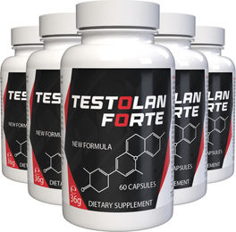 Testolan Forte Kapseln mit L-Arginin, Zink, Selen, Maca und Ginseng vegan 300 Stück – Bild 1 von 3