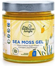 The Seamoss Jungle Sea Moss Gel Mango ohne Zusatzstoffe – Bild 1 von 3