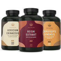 Produktbild von TRUE NATURE® Vitalpilz Power Kräuter-Komplex Kapseln vegan glutenfrei laktosefrei