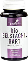 Tyroler Glückspilze Igelstachelbart Kapseln 120 Stück – Bild 1 von 1