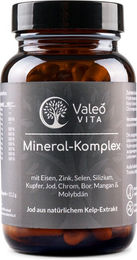 Valeo Vita Mineral Komplex All In One Zink Biotin Selen Kelp Braunalge Kapseln vegan ohne Zusatzstoffe für Erwachsene 90 Kapseln – Bild 1 von 3
