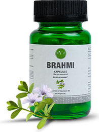 Vanan Brahmi Kapseln Vegan 60 Stück – Bild 1 von 2
