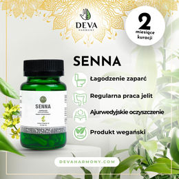Vanan Senna alexandrina Extrakt Kapseln vegan ohne Zusatzstoffe 60 Stück – Bild 1 von 3