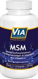 Via Vitamine MSM Komplex hochdosiert mit 120 mg Vitamin C Kapseln – Bild 1 von 2