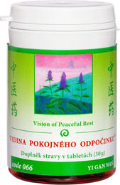 Vision Healthcare YI GAN WAN Kräuter-Komplex Tabletten 100 Stück – Bild 1 von 1