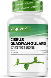 Vit4ever Cissus Quadrangularis Intenso Kapseln Vegan 180 Stück – Bild 1 von 2