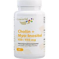 Produktbild von Vita World Cholin und Inositol 450/450 mg Kapseln vegan 60 Stück