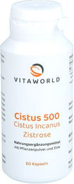Vita World Cistus 500 Kapseln vegan 60 Stück – Bild 1 von 1