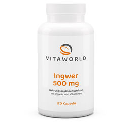 Vita World Ingwer 500 mg Kapseln vegan glutenfrei laktosefrei 120 Stück – Bild 1 von 1