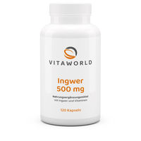 Produktbild von Vita World Ingwer 500 mg Kapseln vegan glutenfrei laktosefrei 120 Stück