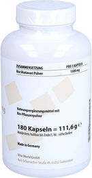 Vita World Shatavari Bio Kapseln 180 Stück – Bild 1 von 1