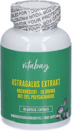 Vitabay Astragalus Kapseln vegan ohne Zusatzstoffe 180 Stück – Bild 1 von 2