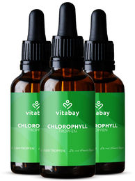 Vitabay Chlorophyll Tropfen 300ml mit Weizengras, Alfalfa und Chlorella – Bild 1 von 1