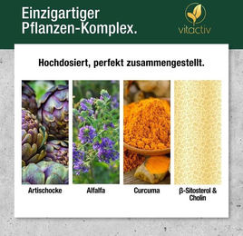 Vitactiv Cholestrosan Formula mit Cynarin und Beta-Sitosterol vegane Kapseln – Bild 1 von 2