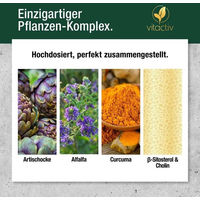 Produktbild von Vitactiv Cholestrosan Formula mit Cynarin und Beta-Sitosterol vegane Kapseln