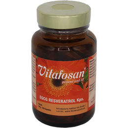 Vitafosan EGCG Resveratrol Kapseln 60 Stück – Bild 1 von 1