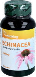 Vitaking Echinacea 1000 mg Kapseln – Bild 1 von 1