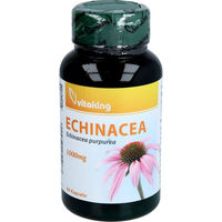 Produktbild von Vitaking Echinacea 1000 mg Kapseln