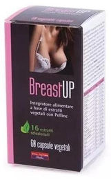 Vital Factors BREAST UP Kräuter-Komplex Kapseln pflanzlicher Ursprung 60 Stück – Bild 1 von 1