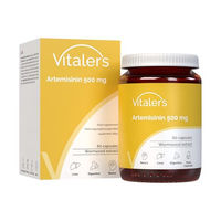 Produktbild von Vitaler's Artemisinin 500 mg Kapseln, 60 Stück, vegan, ohne Zusatzstoffe