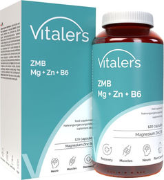 Vitaler’s ZMB Magnesium 240 mg Zink 15 mg Vitamin B6 6 mg Kapseln vegan für Erwachsene 120 Stück – Bild 1 von 2