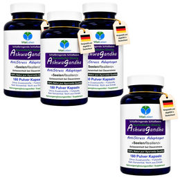 VitalLeben Ashwagandha 720 Kapseln ohne Zusatzstoffe – Bild 1 von 7