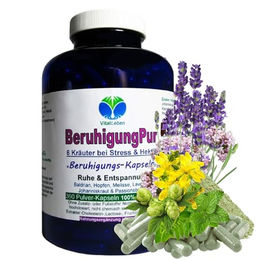 VitalLeben Beruhigung Pur Kräuter-Kapseln mit Baldrian, Hopfen, Melisse, Lavendel, Johanniskraut und Passionsblume, 360 Kapseln, ohne Zusatzstoffe, glutenfrei und laktosefrei – Bild 1 von 2