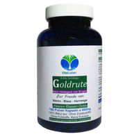 Produktbild von VitalLeben Echte Goldrute Solidago Goldrutenkraut Kapseln 180 Stück vegetarisch ohne Zusatzstoffe
