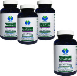 VitalLeben Echte Goldrute Solidago Goldrutenkraut Kapseln 720 Stück vegetarisch ohne Zusatzstoffe – Bild 1 von 3