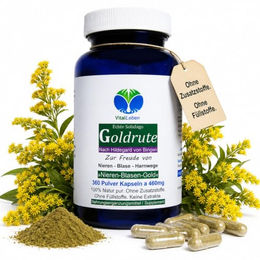 VitalLeben Goldrute Solidago Kapseln vegan ohne Zusatzstoffe 360 Stück – Bild 1 von 9