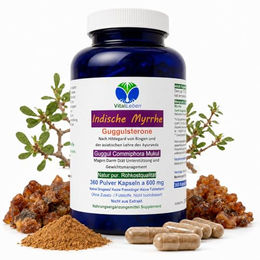 VitalLeben Guggul Indische Myrrhe Ayurveda Kapseln mit Guggulsterone 360 Stück laktosefrei glutenfrei ohne Zusatzstoffe – Bild 1 von 7