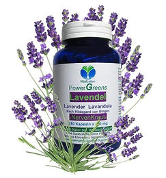 VitalLeben Lavendel Kapseln mit reinem Blütenpulver 180 Stück laktosefrei und glutenfrei ohne Zusatzstoffe – Bild 1 von 6