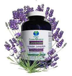 VitalLeben Lavendel Kapseln mit reinem Blütenpulver 360 Stück laktosefrei und glutenfrei ohne Zusatzstoffe – Bild 1 von 6