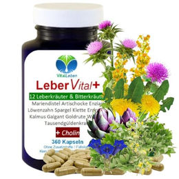 VitalLeben Leber Vital Komplex Kapseln mit 12 Kräutern Bitterstoffen Cholin Löwenzahn Artischocke und Mariendistel vegan ohne Zusatzstoffe 360 Kapseln – Bild 1 von 2