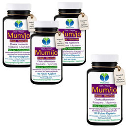 VitalLeben Shilajit Mumijo Pulver Kapseln 720 Stück ohne Zusatzstoffe – Bild 1 von 5