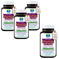 Produktbild von VitalLeben Shilajit Mumijo Pulver Kapseln 720 Stück ohne Zusatzstoffe