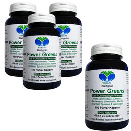 VitalLife Green Power Supergreens Superfood-Mischung mit Chlorophyll, Gerstengras, Chlorella und Spirulina, vegan, 720 Kapseln – Bild 1 von 9