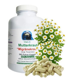 VitalLife Mutterkraut Kapseln ohne Zusatzstoffe 360 Stück – Bild 1 von 1