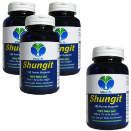 VitalLife Schungit Edel Schungit 720 Kapseln ohne Zusatzstoffe – Bild 1 von 4