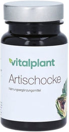 Vitalplant Artischocken Extrakt 500 mg Kapseln 60 Stück – Bild 1 von 1