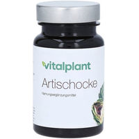Produktbild von Vitalplant Artischocken Extrakt 500 mg Kapseln 60 Stück
